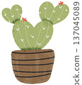 flower 137045089
