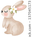 rabbit 137045173