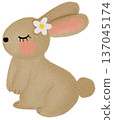 rabbit 137045174