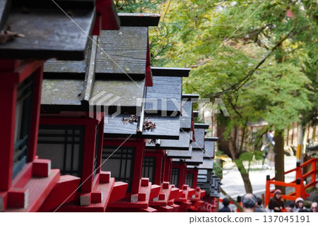Vermilion lanterns on the approach to Kifune Shrine 137045191