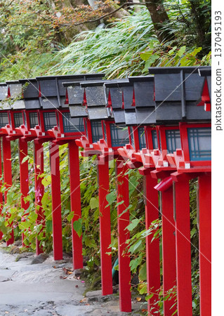 Vermilion lanterns on the approach to Kifune Shrine Vermilion lanterns on the approach to Kifune Shrine 137045193