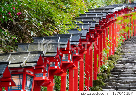 Vermilion lanterns on the approach to Kifune Shrine 137045197