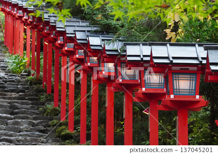 Vermilion lanterns on the approach to Kifune Shrine 137045201