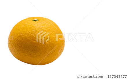 Amanatsu citrus fruit macro transparent background Amanatsu citrus fruit macro transparent background 137045377