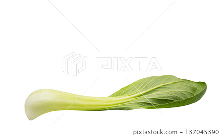 Fresh bok choy macro photo transparent background material 137045390