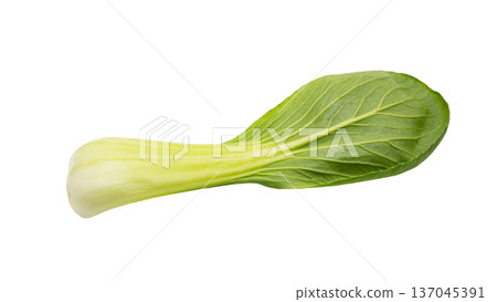 Fresh bok choy macro photo transparent background material 137045391