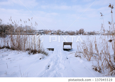 A single bench in front of a lake in winter A single bench in front of a lake in winter 137045519