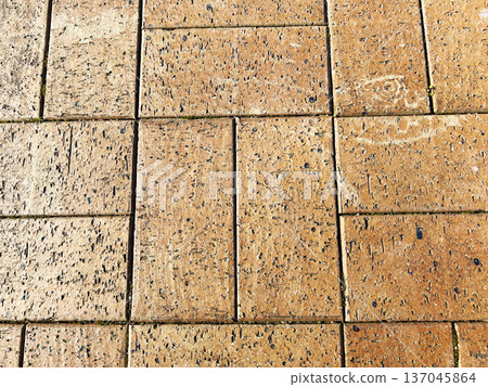 地面的特寫 137045864