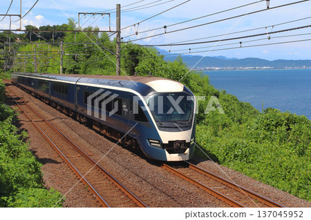 The Saphir Odoriko express train runs along the summer coastline (Tokyo ⇔ Izukyu Shimoda) 137045952