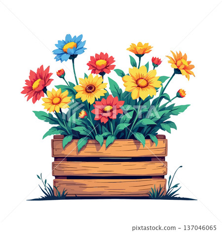Vsai colorful flowers growing in wooden garden box Vsai colorful flowers growing in wooden garden box 137046065