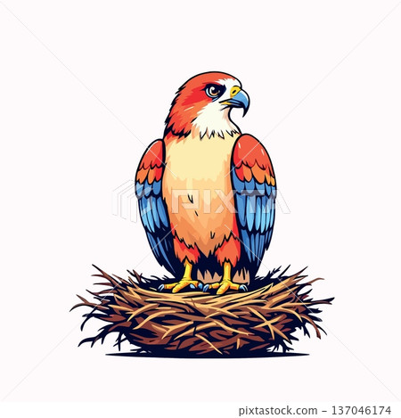 Colorful falcon bird standing in straw nest Colorful falcon bird standing in straw nest 137046174