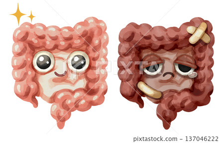 Watercolor cartoon comparison of a healthy intestine and unhealthy intestine. Representing conditions like colon cancer, irritable bowel syndrome, gut microbiome balance. Transparent background. 137046222