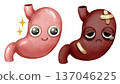 Watercolor cartoon comparison of a healthy stomach and unhealthy stomach. Representing conditions like gastritis, ulcers, digestion, or eating habits. Transparent background illustration. 137046225