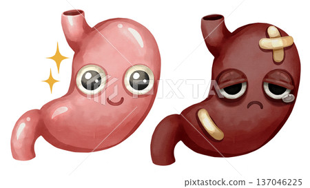 Watercolor cartoon comparison of a healthy stomach and unhealthy stomach. Representing conditions like gastritis, ulcers, digestion, or eating habits. Transparent background illustration. 137046225