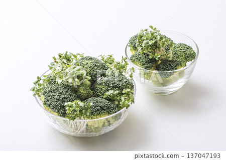 西蘭花和西蘭花芽，綠色和黃色蔬菜，芽菜，健康蔬菜，沙拉食材 137047193