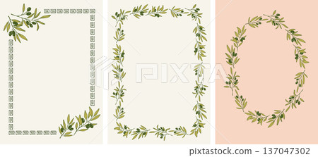 Olive tree frames with green leaves. Olive oil hand drawn vintage vector illustrations series 137047302