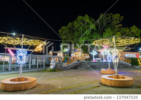 Illuminations in front of Iwata Station (Shizuoka Prefecture) Illuminations in front of Iwata Station (Shizuoka Prefecture) 137047310