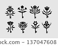 Keys and flowers botanical collection black 137047608