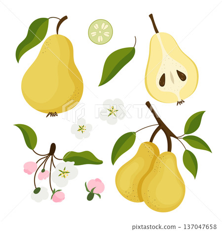Pear fruit compositions in flat style. 137047658