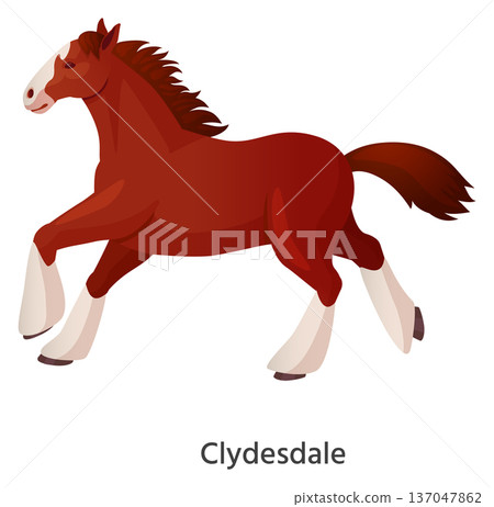 Clydesdale horse running. Ranch breed animal icon 137047862