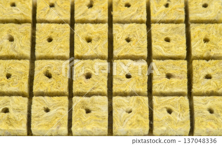 Mineral wool cubes. Seed germination cube. Mineral wool for germination isolated on white background. Pressed cube for hydroponics and aquaponics seed germination close-up Mineral wool cubes. Seed germination cube. Mineral wool for germination isolated on white background. Pressed cube for hydroponics and aquaponics seed germination close-up 137048336