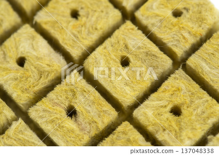 Mineral wool cubes. Seed germination cube. Mineral wool for germination isolated on white background. Pressed cube for hydroponics and aquaponics seed germination close-up Mineral wool cubes. Seed germination cube. Mineral wool for germination isolated on white background. Pressed cube for hydroponics and aquaponics seed germination close-up 137048338