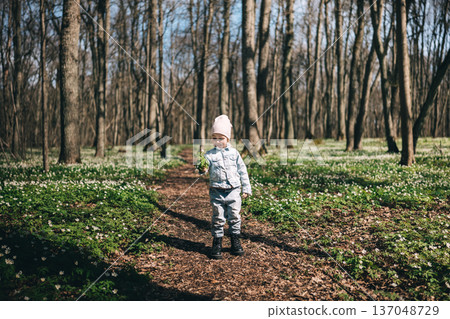 Little girl running towards camera in the forest covered with anemones Little girl running towards camera in the forest covered with anemones 137048729