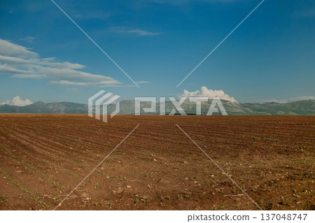 Empty Spring Plowed Field with Dark Soil 137048747