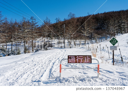 Forest road of Mt. 137048967