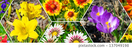 Panoramic Collage of Vibrant Spring and Summer Garden Flowers Panoramic Collage of Vibrant Spring and Summer Garden Flowers 137049198