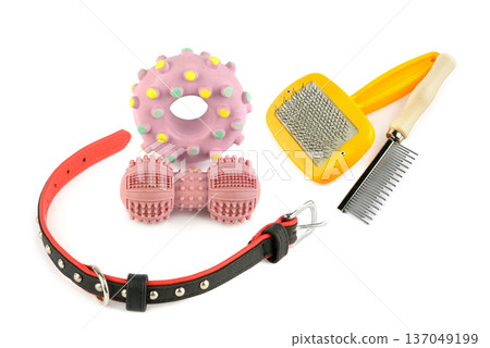 Pet Care Concept with Brushes, Collar, and Toys Pet Care Concept with Brushes, Collar, and Toys 137049199