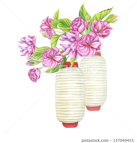 Japanese Paper Lantern and Sakura blossom branch. Watercolor botanical illustration flowers in spring. Hand-drawn flower buds, petals and leaves of cherry blossoms on white background Japanese Paper Lantern and Sakura blossom branch. Watercolor botanical illustration flowers in spring. Hand-drawn flower buds, petals and leaves of cherry blossoms on white background 137049455