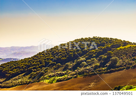 Spanish nature landscape in Andalucia. 137049501