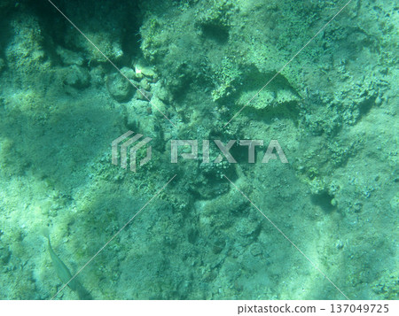 photo taken under water 137049725
