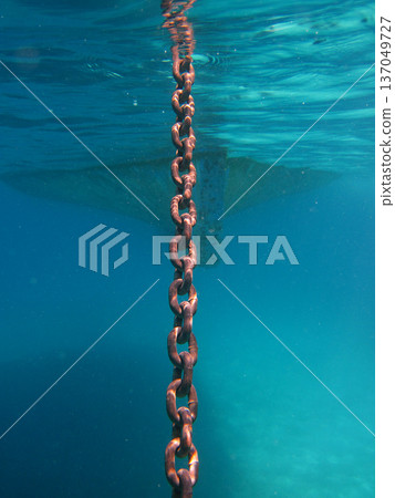 photo taken under water 137049727