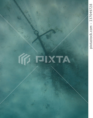 photo taken under water photo taken under water 137049728