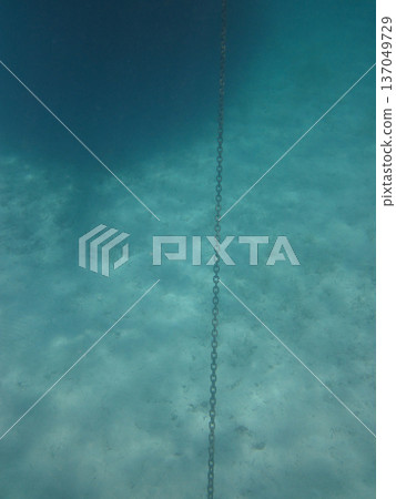 photo taken under water photo taken under water 137049729