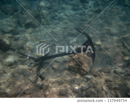 photo taken under water photo taken under water 137049734