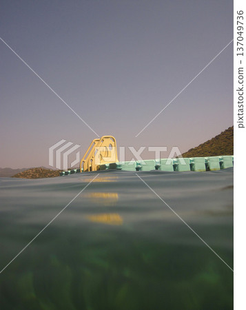 photo taken under water 137049736