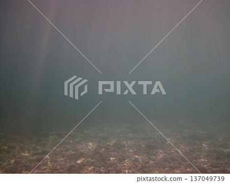 photo taken under water photo taken under water 137049739