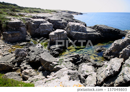 sea and cliffs. A Rocky Area By The Sea istanbul, Turkey sea and cliffs. A Rocky Area By The Sea istanbul, Turkey 137049803