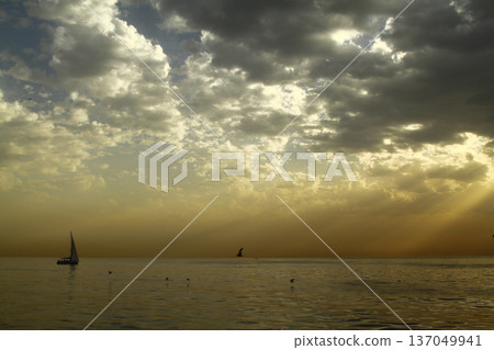 Panoramic view of Istanbul from the Bosphorus Strait. Sea cruise on the strait with a view of the city. Cityscape of Istanbul. Travel to Turkey. 137049941