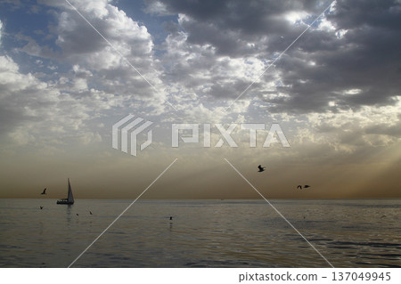 Panoramic view of Istanbul from the Bosphorus Strait. Sea cruise on the strait with a view of the city. Cityscape of Istanbul. Travel to Turkey. Panoramic view of Istanbul from the Bosphorus Strait. Sea cruise on the strait with a view of the city. Cityscape of Istanbul. Travel to Turkey. 137049945