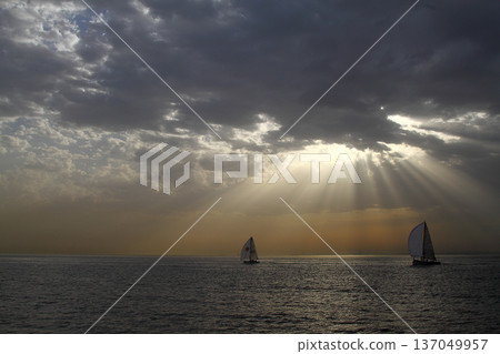 Panoramic view of Istanbul from the Bosphorus Strait. Sea cruise on the strait with a view of the city. Cityscape of Istanbul. Travel to Turkey. 137049957