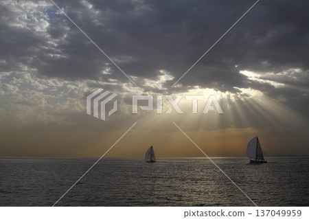 Panoramic view of Istanbul from the Bosphorus Strait. Sea cruise on the strait with a view of the city. Cityscape of Istanbul. Travel to Turkey. 137049959