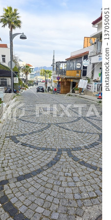 Cobblestone street lined with shops and palm trees in coastal town Cobblestone street lined with shops and palm trees in coastal town 137050051