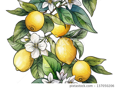 Lemons and blossoms seamless pattern Lemons and blossoms seamless pattern 137050206