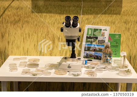 Laboratory microscope with petri dishes and research materials on table Laboratory microscope with petri dishes and research materials on table 137050319