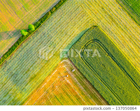 An agricultural landscape with various fields and crops. The scene captures patterns in the land and greenery. The area represents farming. 137050864