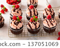 Raspberry chocolate cupcakes with fresh raspberries and chocolate sauce for Valentines Day 137051069